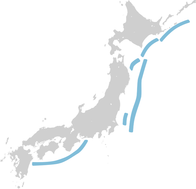 公的機関が公表した主な断層帯および海域